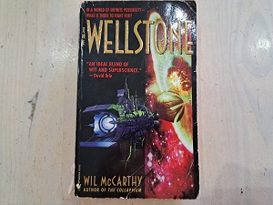 The Wellstone - Wil McCarthy for sale Hermanus Bargain Box