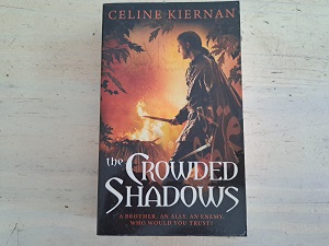 The Crowded Shadows for sale at Hermanus Bargain Box